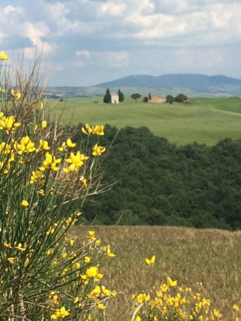 Tuscany Landscape